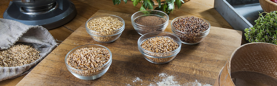 BBbio - the shop for grainmills and organic food