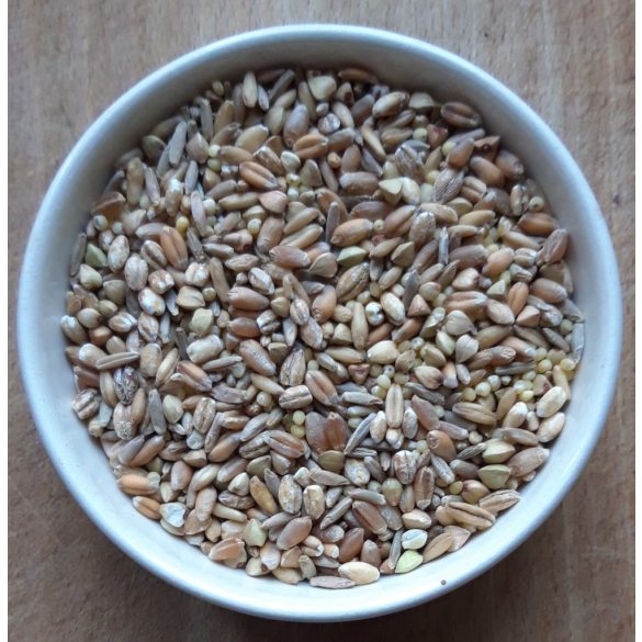 Fresh Müsli-Mix - 1000 g