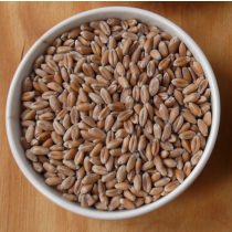 BIO őszibúza (Biomag - Rábcakapi) 5kg