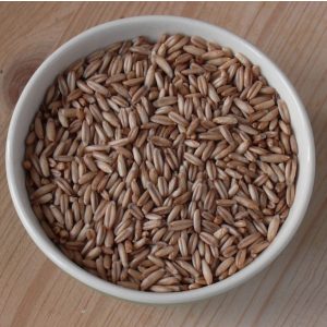 bio zab (1/2 kg) bio zab (1/2 kg)