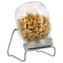 Eschenfelder 1er-Sprossen-Set mit 750 ml Glas, Edelstahlring