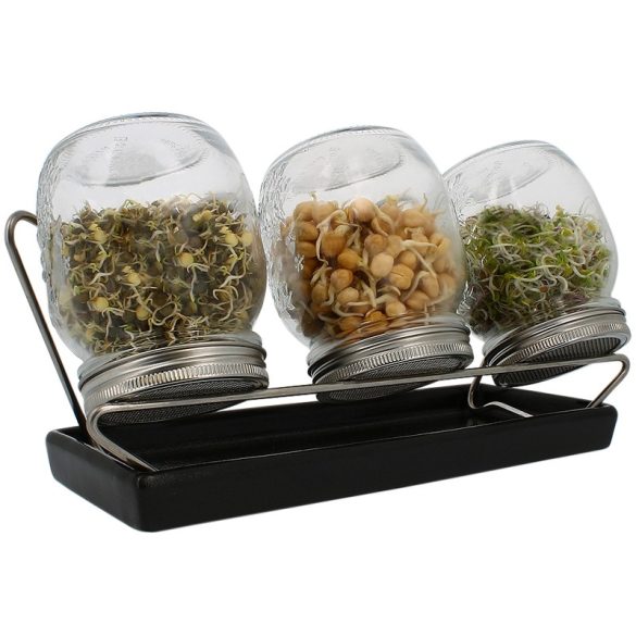 Eschenfelder sprout glass system with 3 glasses and black tray