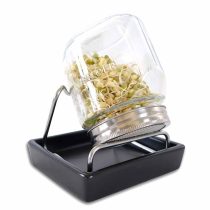 Eschenfelder 1er-Sprossen-Set mit 750 ml Glas, Edelstahlring