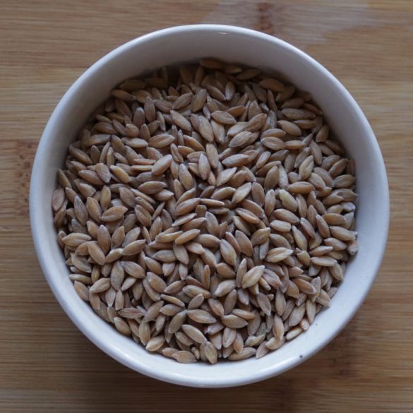 Einkorn wheat (1 kg) - BBbio