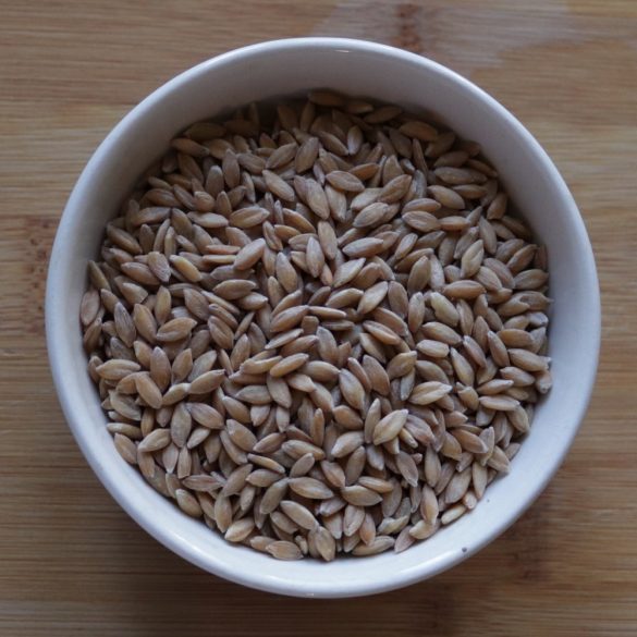 Einkorn wheat (5 kg) - BBbio