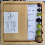 Olea Tinia – Leccino - bio extra szűz horvát olívaolaj 3 l 