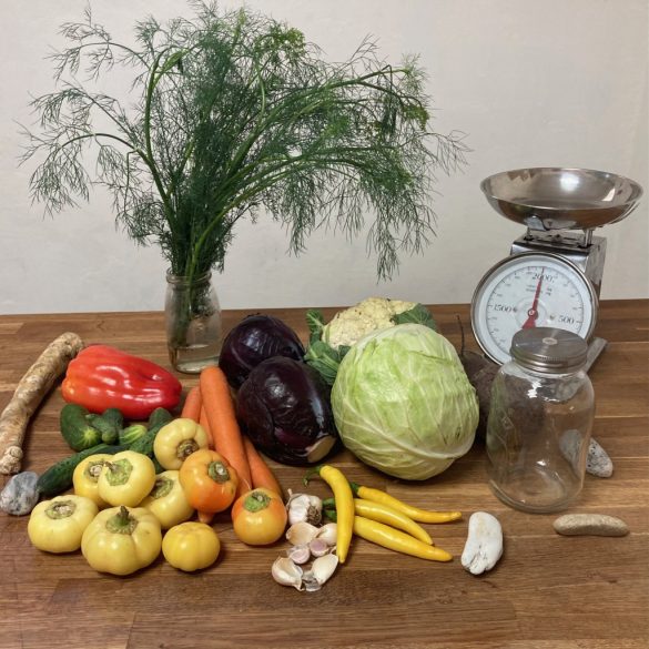 Fermentáló workshop - 2026. március 22.