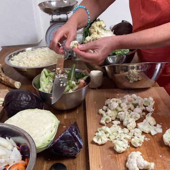 Fermentáló workshop - 2026. március 22.