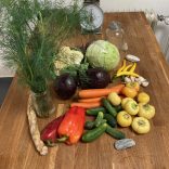 Fermentáló workshop – online műhely – 2026. április 23.