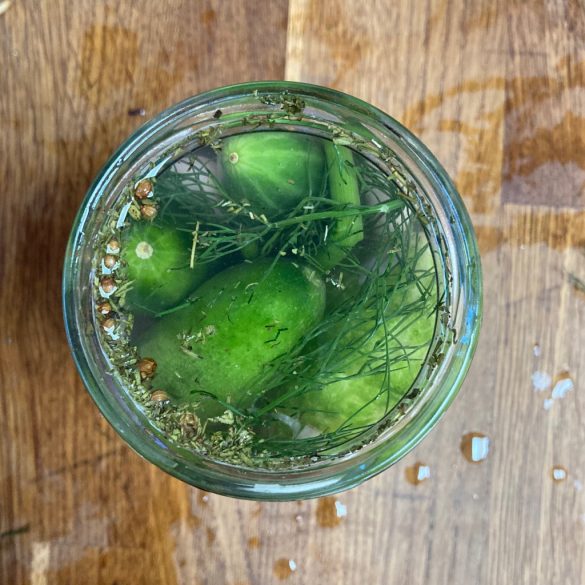 Fermentáló workshop – online műhely – 2026. április 23.