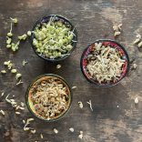 Csíráztatás lépésről lépésre – online műhely – 2026. április 16.