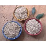 Kovászkészítő workshop – online műhely – 2026. április 30.