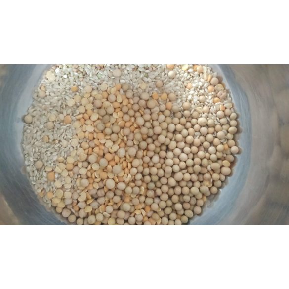 Gluténmentes konyha teljes értékűen – négy modulból álló hétvégi workshop – január 24–25