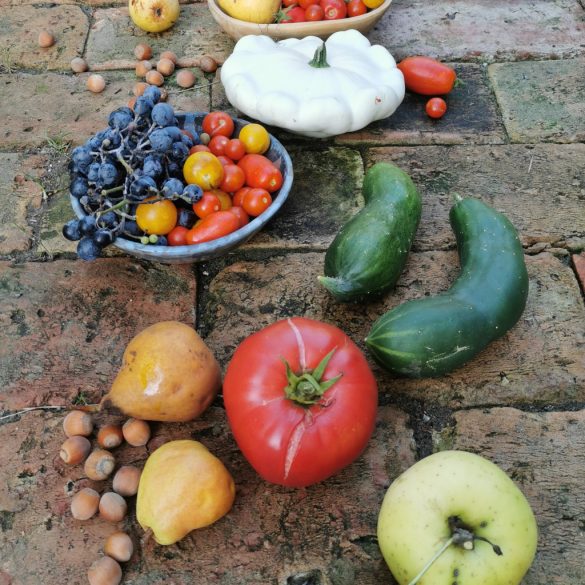 Nyerskonyha-workshop – Saláta-készítés egyszeregy 2026. január 25.