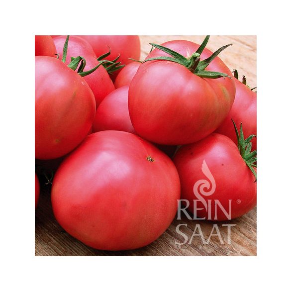 Berner Rose Organic Tomato Seeds