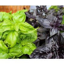 Basilikum grün/rot - Biosaatgut -Saatscheibe