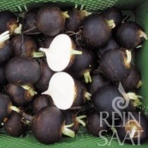Fekete retek biovetőmag, Wiener runder Kohlschwarzer