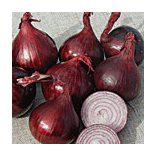 Organic onion seeds, Karmen